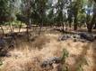 10465 BOREN BEGA DRIVE KELSEYVILLE, CA 95451