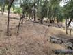 10465 BOREN BEGA DRIVE KELSEYVILLE, CA 95451