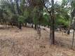 10465 BOREN BEGA DRIVE KELSEYVILLE, CA 95451