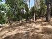 10465 BOREN BEGA DRIVE KELSEYVILLE, CA 95451