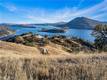 8150 E STATE HWY 20 LUCERNE, CA 95458