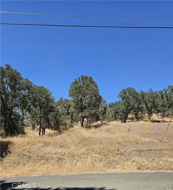 15847 JOSEPH LOWER LAKE, CA 95457