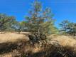 15847 JOSEPH LOWER LAKE, CA 95457