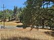 15847 JOSEPH LOWER LAKE, CA 95457