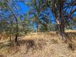 15847 JOSEPH LOWER LAKE, CA 95457