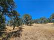 15847 JOSEPH LOWER LAKE, CA 95457