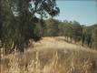 17012 DAM CLEARLAKE, CA 95422