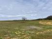 17012 DAM CLEARLAKE, CA 95422