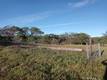552 WATERTROUGH CLEARLAKE OAKS, CA 95423
