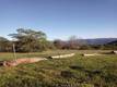 552 WATERTROUGH CLEARLAKE OAKS, CA 95423