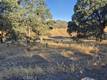 2225 PARK BOULEVARD CLEARLAKE, CA 95422
