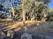 2225 PARK BOULEVARD CLEARLAKE, CA 95422