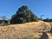 2225 PARK BOULEVARD CLEARLAKE, CA 95422