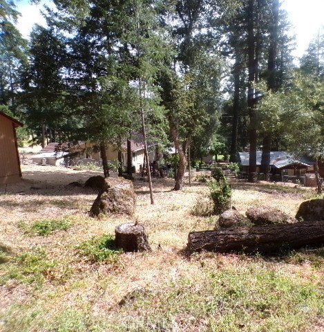 8020 SODA BAY ROAD KELSEYVILLE, CA 95451