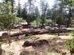 8020 SODA BAY ROAD KELSEYVILLE, CA 95451