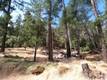 8020 SODA BAY ROAD KELSEYVILLE, CA 95451