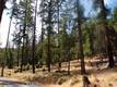 8020 SODA BAY ROAD KELSEYVILLE, CA 95451