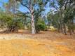 2685 GREENWAY DR KELSEYVILLE, CA 95451