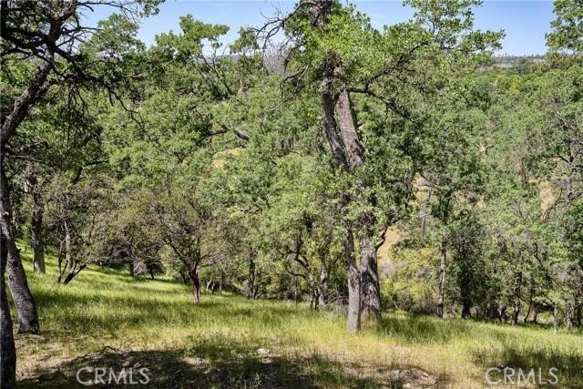 20947 POWDER HORN ROAD HIDDEN VALLEY LAKE, CA 95467
