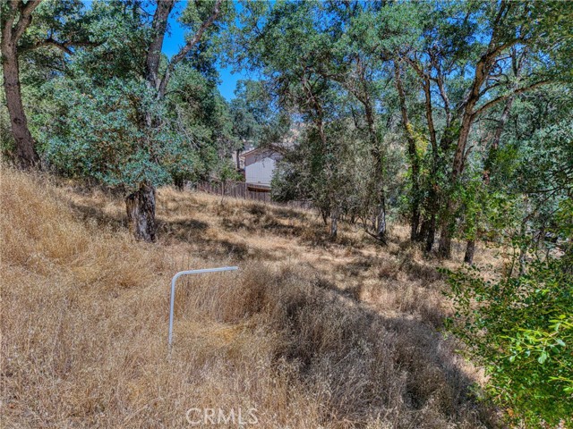 13020 RIDGE STREET CLEARLAKE, CA 95422