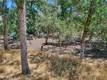 13020 RIDGE STREET CLEARLAKE, CA 95422