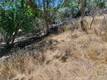 13020 RIDGE STREET CLEARLAKE, CA 95422