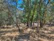13020 RIDGE STREET CLEARLAKE, CA 95422