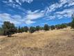 1910 NEW LONG VALLEY CLEARLAKE OAKS, CA 95423