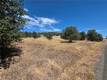 1910 NEW LONG VALLEY CLEARLAKE OAKS, CA 95423