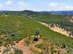 18050 RANCH ROAD MIDDLETOWN, CA 95461
