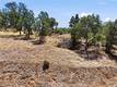 18050 RANCH ROAD MIDDLETOWN, CA 95461