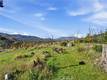 19576 STATE HIGHWAY 175 MIDDLETOWN, CA 95461