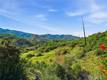 19576 STATE HIGHWAY 175 MIDDLETOWN, CA 95461