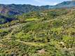 19576 STATE HIGHWAY 175 MIDDLETOWN, CA 95461