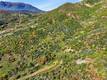 19576 STATE HIGHWAY 175 MIDDLETOWN, CA 95461