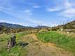 19576 STATE HIGHWAY 175 MIDDLETOWN, CA 95461