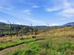 19576 STATE HIGHWAY 175 MIDDLETOWN, CA 95461