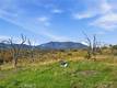 19576 STATE HIGHWAY 175 MIDDLETOWN, CA 95461