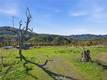 19576 STATE HIGHWAY 175 MIDDLETOWN, CA 95461