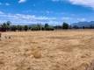 20900 SAN DIEGO MIDDLETOWN, CA 95461