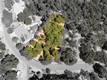 18876 TIMBER POINT ROAD HIDDEN VALLEY LAKE, CA 95467