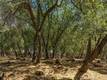 18876 TIMBER POINT ROAD HIDDEN VALLEY LAKE, CA 95467
