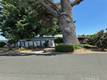 1800 SOUTH MAIN  LAKEPORT, CA 95453