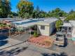 5890 E HIGHWAY 20  LUCERNE, CA 95458