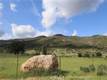 12062 MEAD  MIDDLETOWN, CA 95461