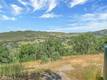 19511 OAK HAVEN ROAD LOWER LAKE, CA 95457