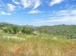 19511 OAK HAVEN ROAD LOWER LAKE, CA 95457