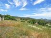 19511 OAK HAVEN ROAD LOWER LAKE, CA 95457