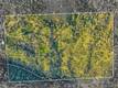 17023 HOFACKER LANE LOWER LAKE, CA 95457