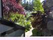 10 ROYALE AVENUE LAKEPORT, CA 95453